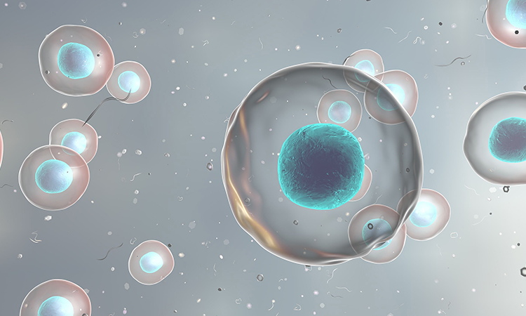 應(yīng)用領(lǐng)域